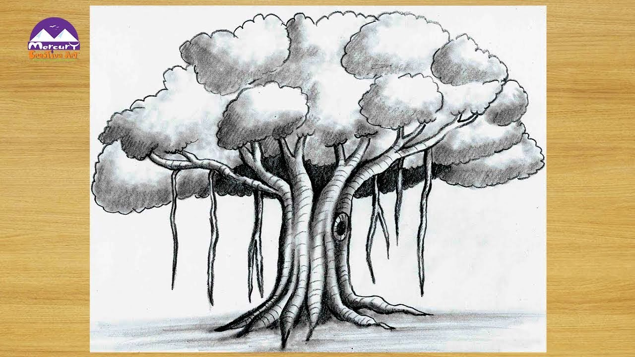 How to draw a Banyan Tree Pencil Shading Drawing | step by step drawing ...