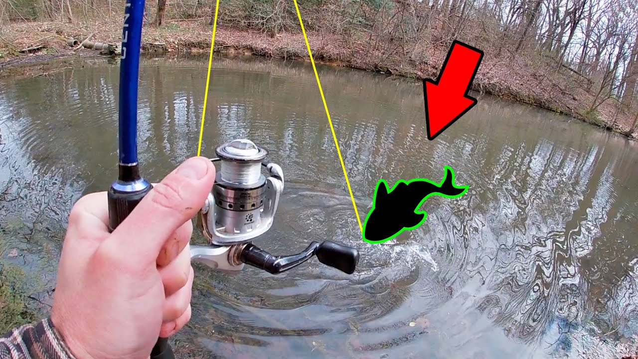 Pa Spring Fishing for BIG FISH