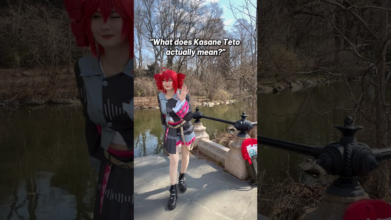 The meaning behind Kasane Teto’s name 👀🥖 #kasaneteto #kasanetetocosplay #utauloid #vocaloid #teto