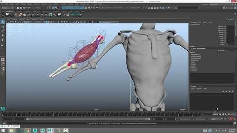 Ziva VFX Fixed Attachments  – Tutorial
