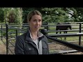 Heartland 1206 First Look