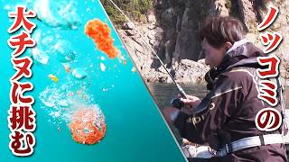 山本太郎が和歌山県小引でノッコミの大チヌを追う 1/2 『チヌ道一直線 113』＜フルver＞【釣りビジョン】
