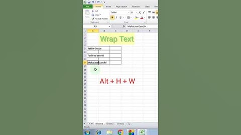 Wrap Text in Excel !! Excel Tutorial #excel #exceltips #exceltutorial