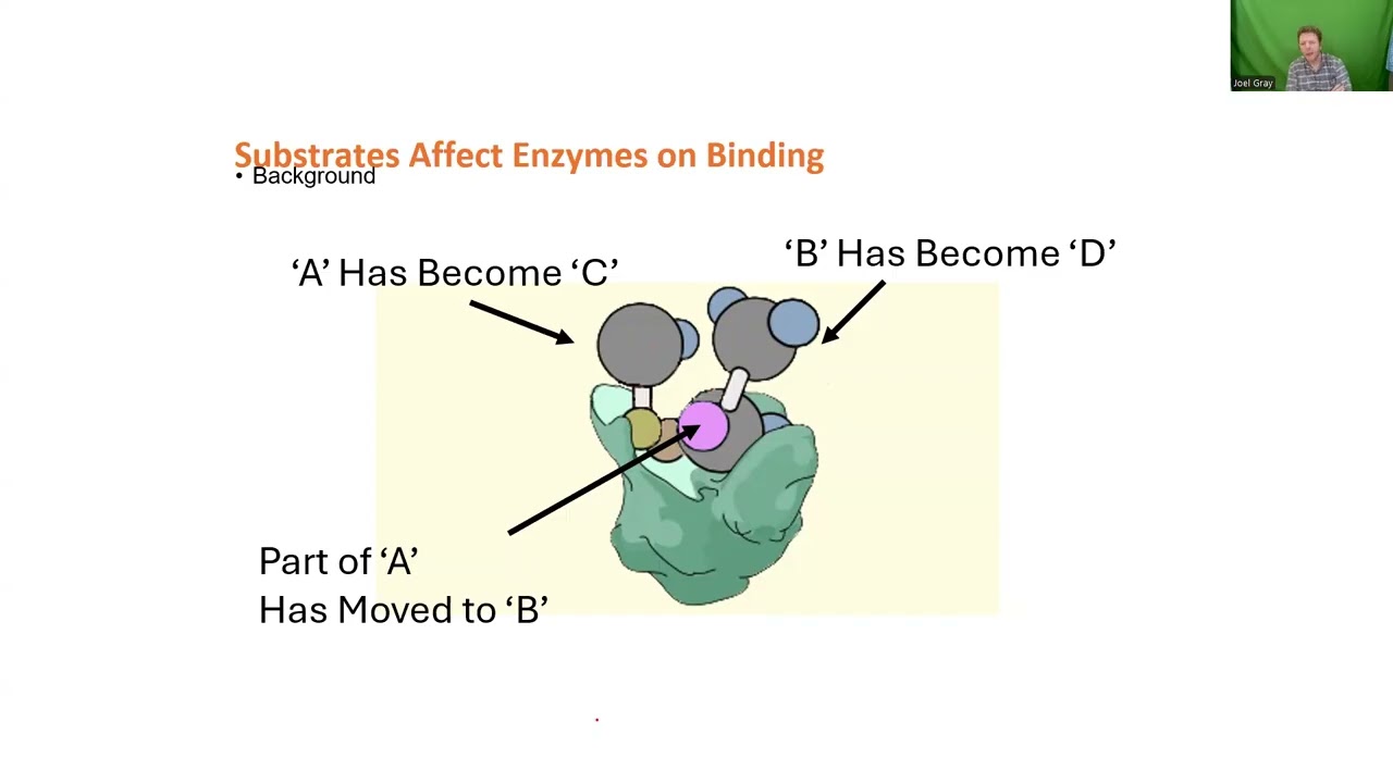CHEM 4375 - 11/06 - Day 26