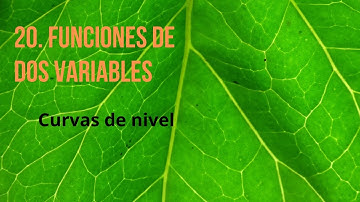 20. Curvas de nivel de funciones de dos variables