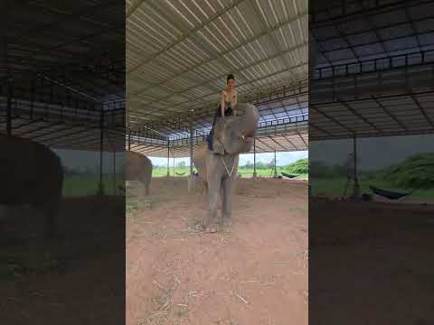 Wishing You Happiness This Wednesday 