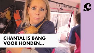 HOE DOET CHANTAL HET ALS EEN HONDENPSYCHOLOOG - CHANTAL KOMT WERKEN - &C
