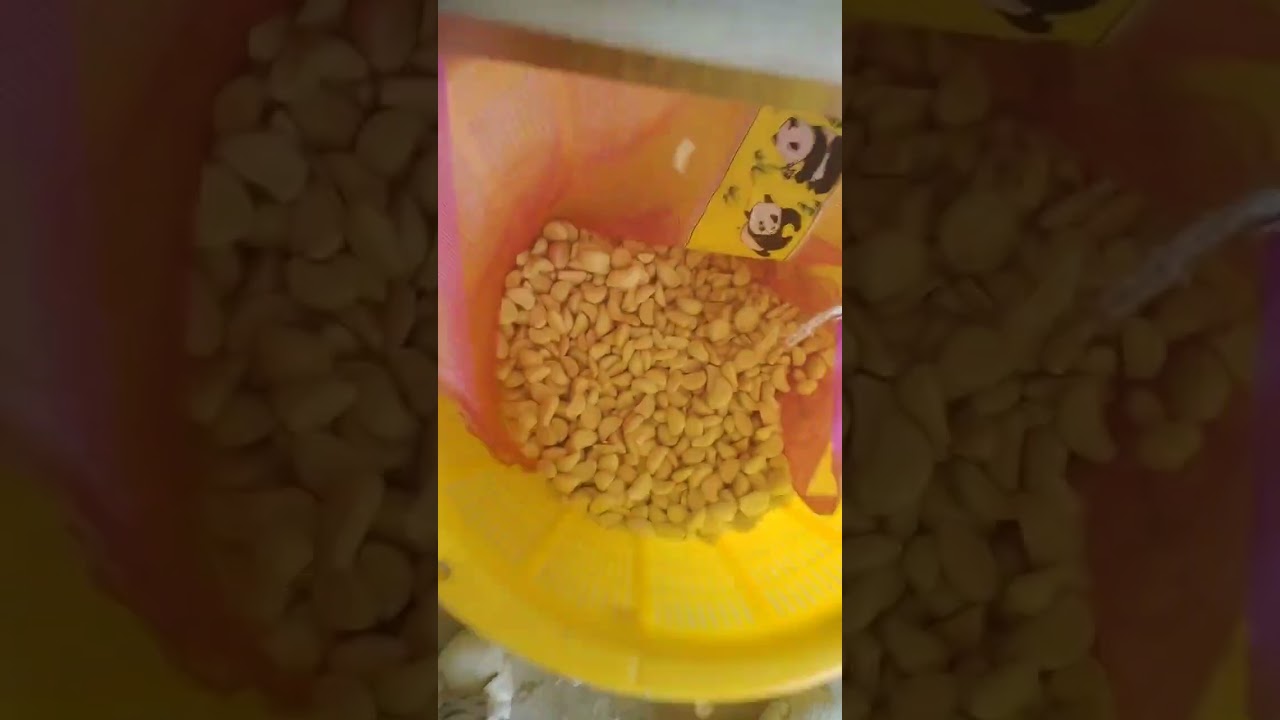 BL60 garlic color separator 