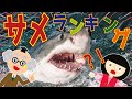 【ようかい博士】サメランキング☆危険なサメ・大きいサメ・面白いサメのランキングを座敷童と一緒に紹介するぞ♪【知育動画】子供向け 図鑑 危険生物 海の生き物