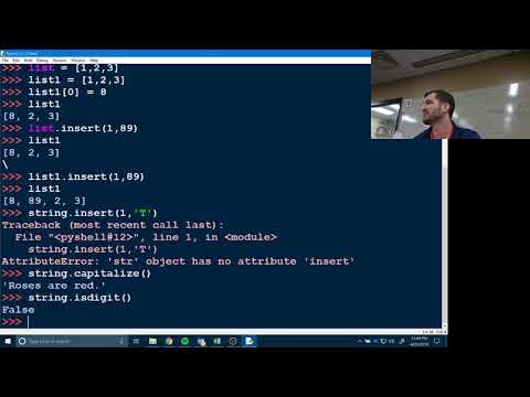 Ch 8 Intro Strings