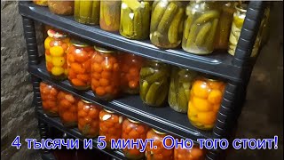 Вечный не сгнивающий стеллаж  (полки) в погреб, подвал, гараж, подпол. За 400 тысяч и 5 минут. РЕК!!