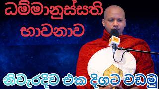 ධම්මානුස්සති භාවනාව| අපි භාවනා කරමු|හසලකවිමල හිමි | Hasalaka seelawimala Thro| Bana new