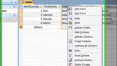 46 Sort Records in Access 2007