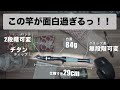 釣りの遊び方が変わるかも！？コンパクトなのに機能満載の汎用テレスコロッドが凄かった。