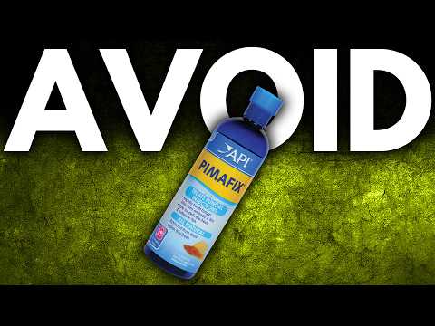 Don't Buy These Aquarium Items (Waste of Money)