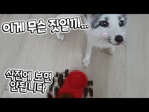 이 미X 여우가....... 말로만 듣던 여우짓이라는걸 실제로 당했네요