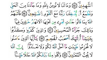 (مكررة) حفظ سورة المائدة(39) للقارئ الشيخ محمد سايد