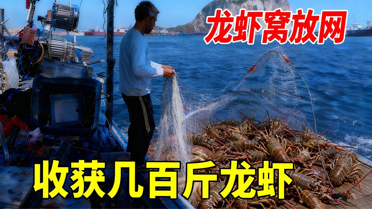 一趟龙虾窝放网能有多少钱？今天带大家一探究竟，稀有货直接1000就起步！ #赶海 #海鲜 #渔民生活实拍