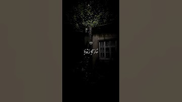 الله نور السماوات والأرض القارئ ماهر المعيقلي اكتب شيء تؤجر عليه