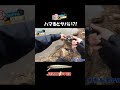 ハマるとヤバい春のJERKRIPPER !!　＃shorts