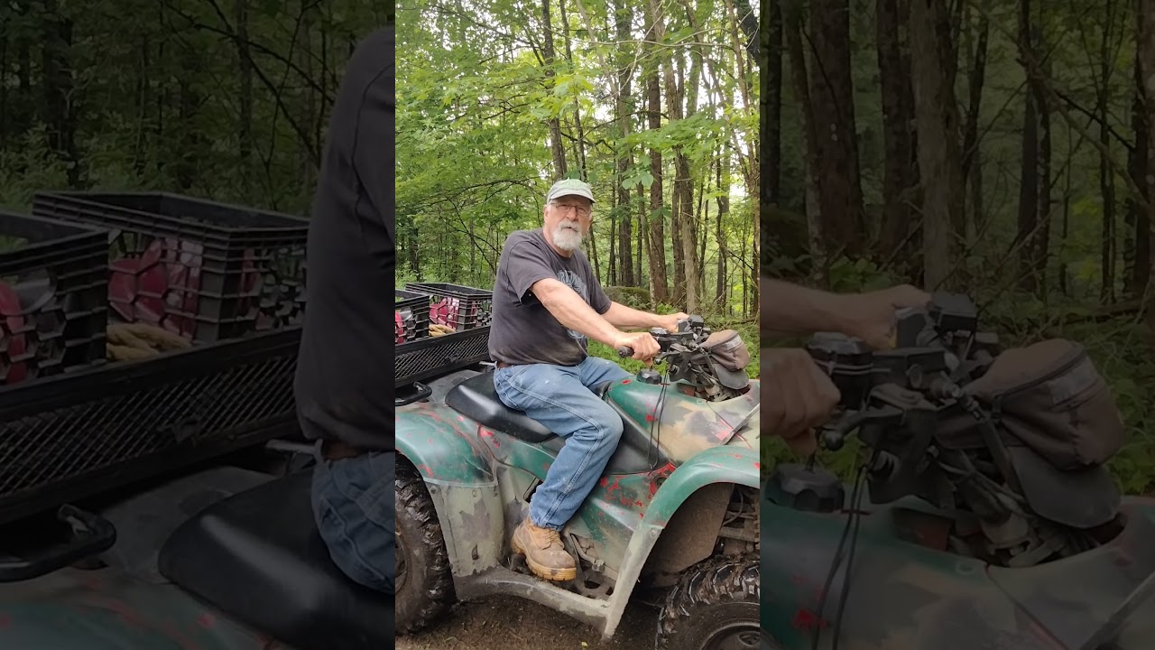 Where are you going? Part 1 of 4 #chainsaw #timber #lumber