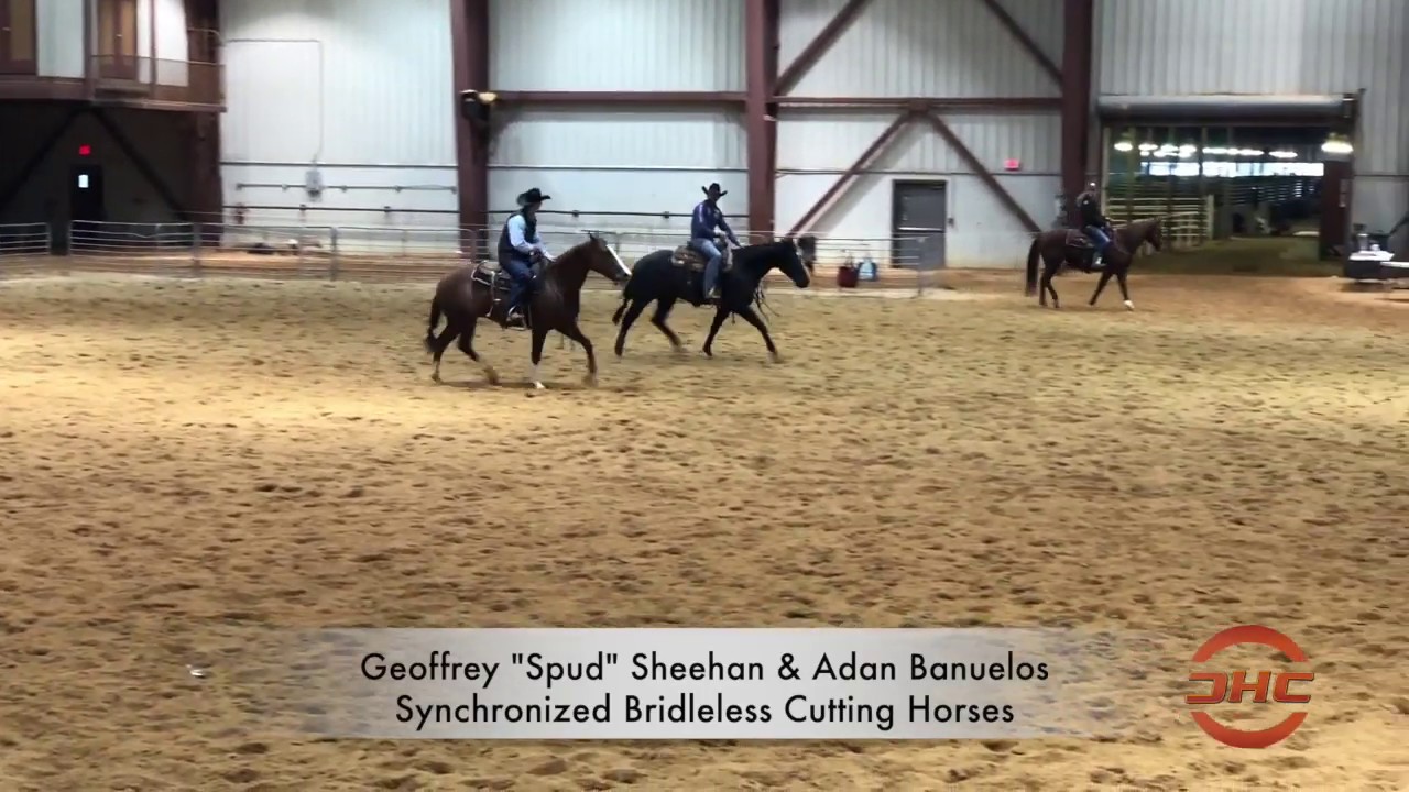 Geoffrey Spud Sheehan and Adan Banuelos demonstrating Synchronized Bridleless Cutting