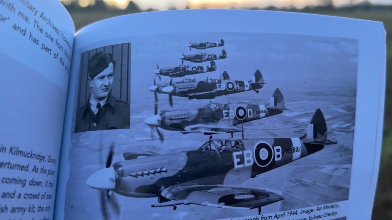 Поле в графстве Уэксфорд, где в октябре 1942 года польский пилот совершил аварийную посадку на св...