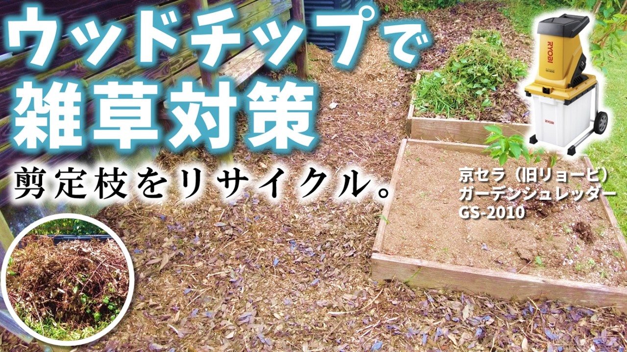 Mickth様専用】乾燥クロモジ2㌔＊枝チップ クロモジ（枝・葉）1㎏ |