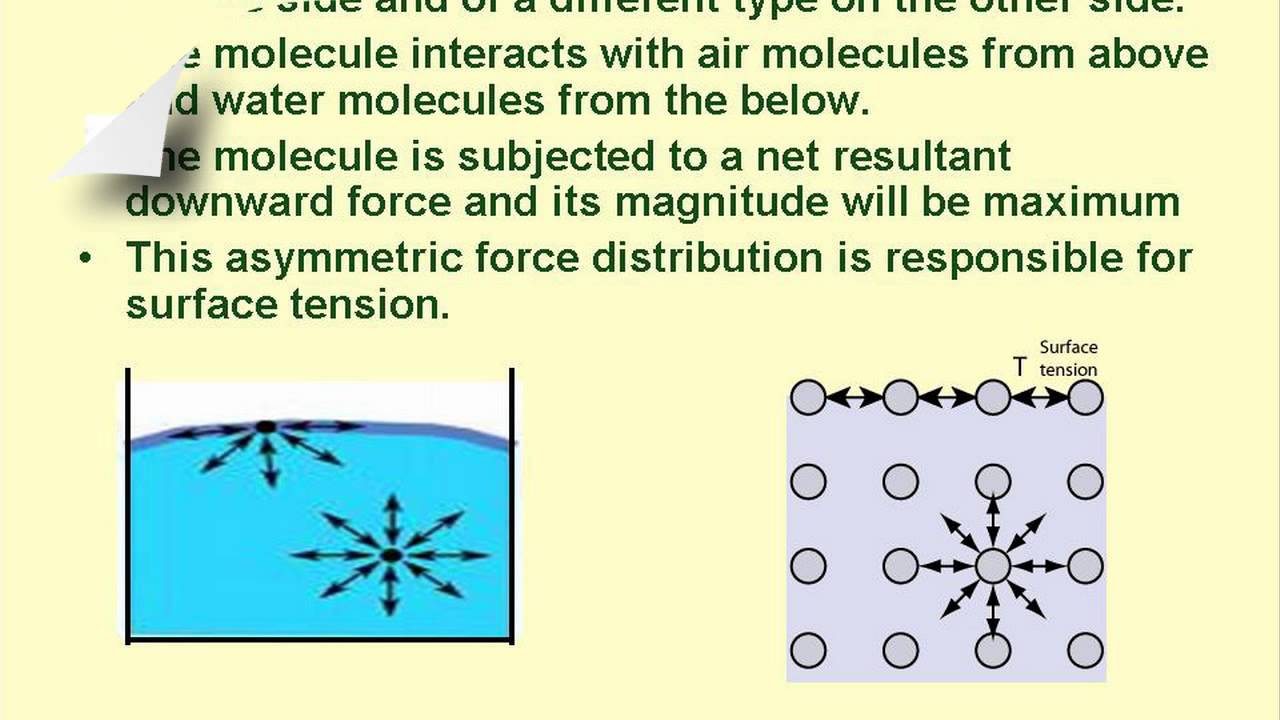 Physics Surface Tension YouTube