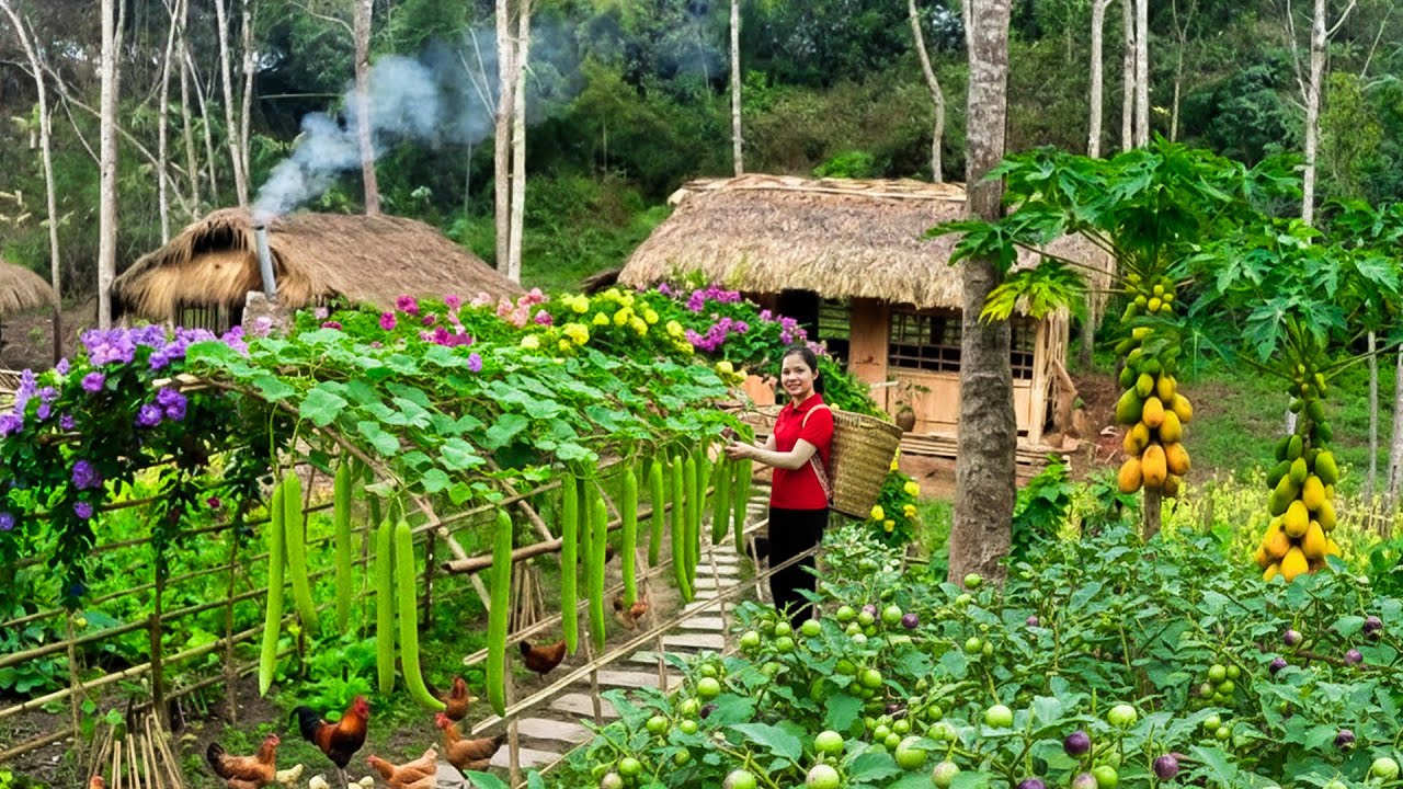 TIMELAPSE - 198 Days Harvesting 1000+Kg Giant Snake Gourd & Garden Egg Goes To Market Sell