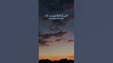 أفأنت تهدي العمي ولو كانوا لا يبصرون للقارئ عبد الرحمن مسعد #عبدالرحمن_مسعد