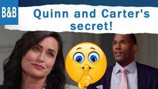 Bold and the Beautiful Tuesday Recaps: Quinn has to face Zoe after falling in bed with Carter.