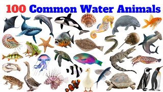 Discover the Fascinating Names and Images of Water Creatures!