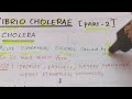 Vibrio cholerae (part 2) | Microbiology | Handwritten notes