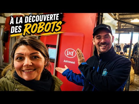 Our Daily Life as Breeders: Discovering Robots