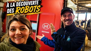 Notre quotidien d'éleveurs : à la découverte des robots 