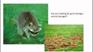 Webinar: Grub Control from business and technical perspectives