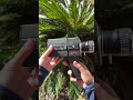 As it’s always been! #photographer #filmphotography #super8