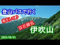 百花繚乱の伊吹山～登山バスで行く（2024/08/01）