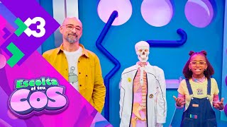 Catacrac Què Paria Si No Tinguéssim Ossos? - Escoltal El Teu Cos