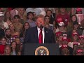 Trump Praises Supporter for Beating a Protester Mid-Speech: "That Was Incredible'