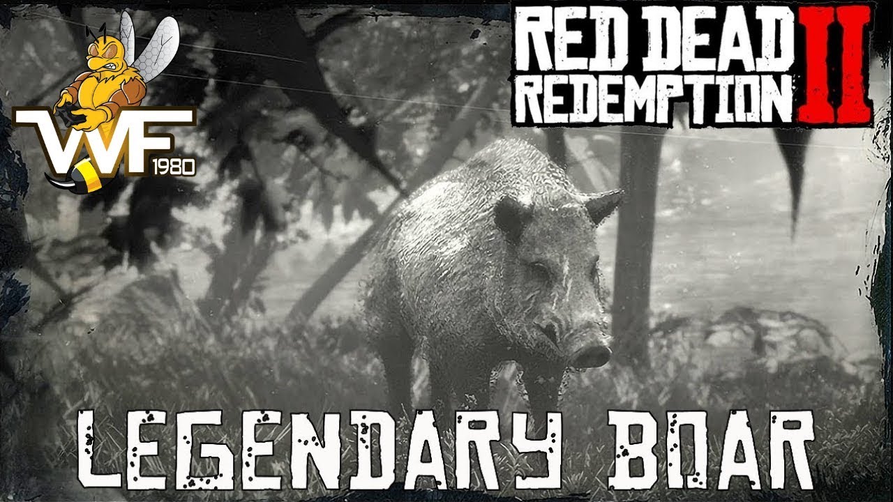 Red Dead Redemption 2 How To Find, Kill & Sell The Legendary Boar