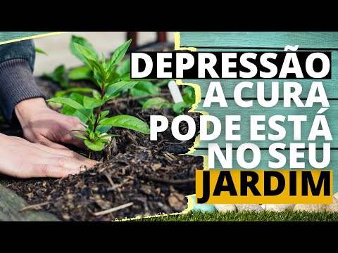 A cura da depressão pode está no seu jardim.