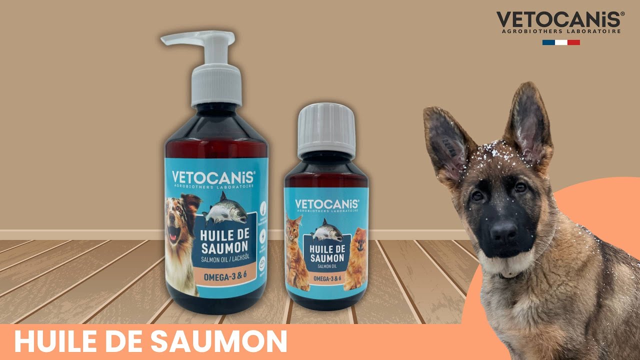 Huile de Saumon pour Chien et Chat – 1 Litre, 100% Naturelle - Pressé à  Froid - Riche en Omega 3+6 et Vitamine E