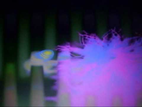 Forecast — Forecast - Dias Alegre (Happy days Spanish version)