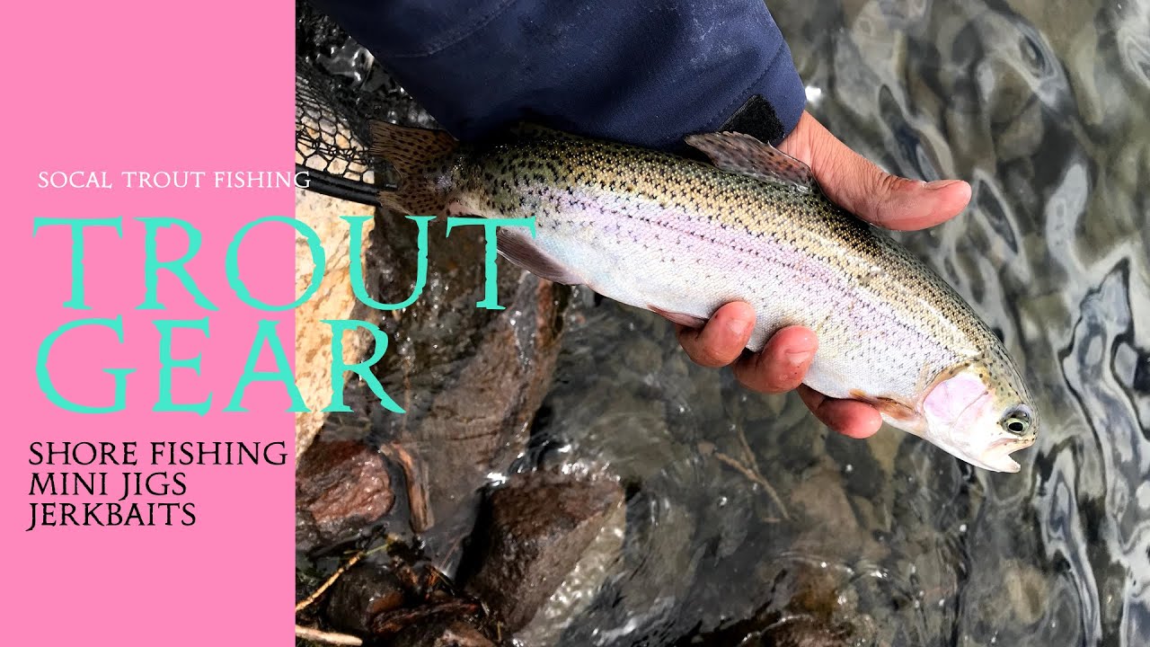 Trout Fishing | Trout Gear | Trout Baits | Shore Fishing | Mini Jigging