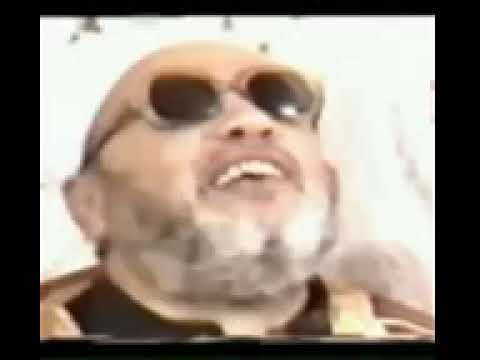 طرائف الشيخ كشك تربية الكلاب