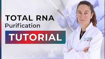 Total RNA Purification Tutorial (Cat. 17200)