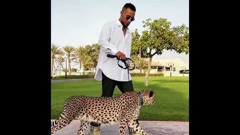 Thumbnail of MOHAMED RAMADAN WITH LEOPARD 🐆 IN DUBAI
