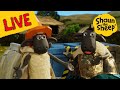 Shaun The Sheep TV! Full Episodes - Cartoons for kids - Farm Animals!